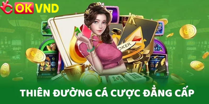 Giao diện chính OKVND – Minh bạch và chuyên nghiệp