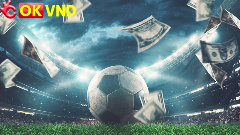 Phân biệt OKVND chính thức qua giao diện website